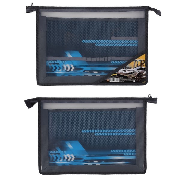 Папка дтруда ПТР-2 Авто РЕЙСЕР Пчелка